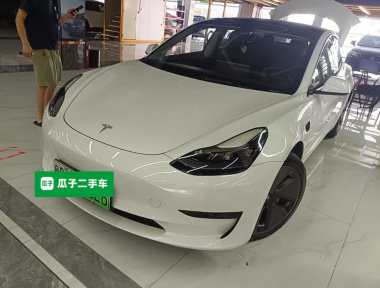 Tesla Model 3 2021 Tesla Model 3 2021 car image