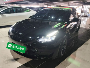 Tesla Model 3 2023 car image 
