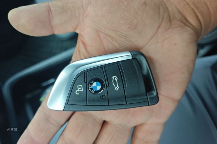 BMW X1 New Energy 2020 car image #10