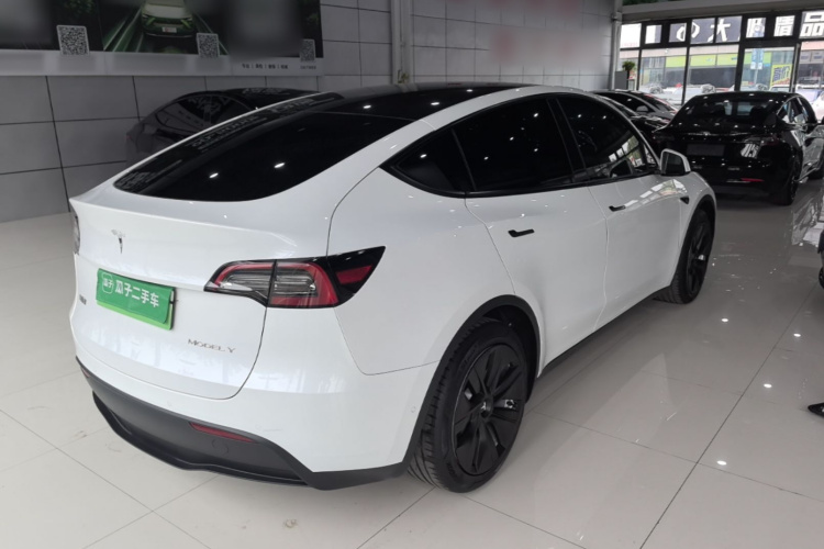 Tesla Model Y 2021 car image #7