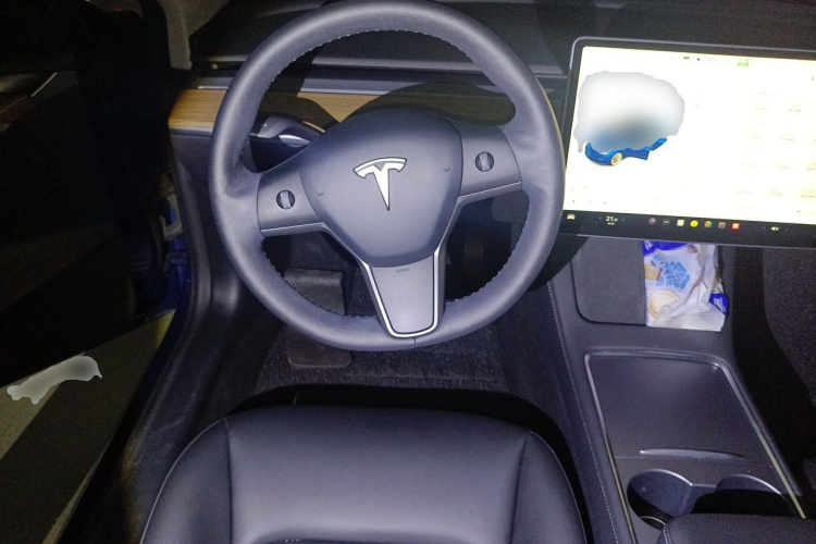 Tesla Model 3 2021 car image #15
