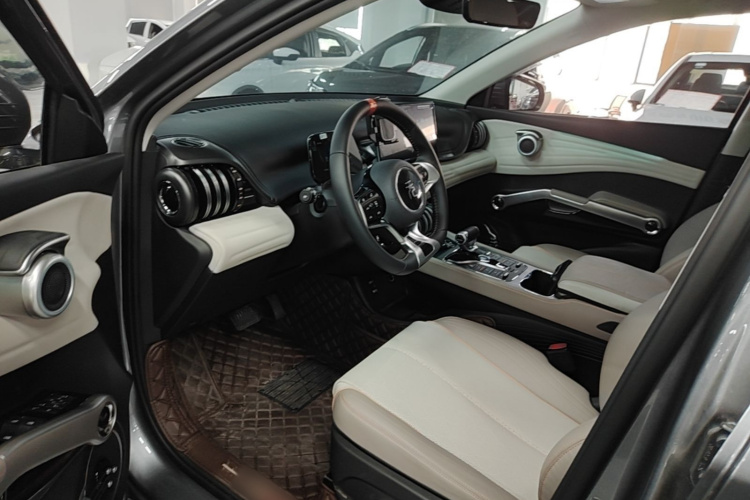BYD Yuan Plus 2024 car image #16