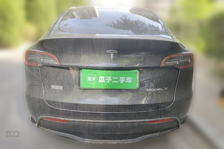 Tesla Model Y 2024 car image #6