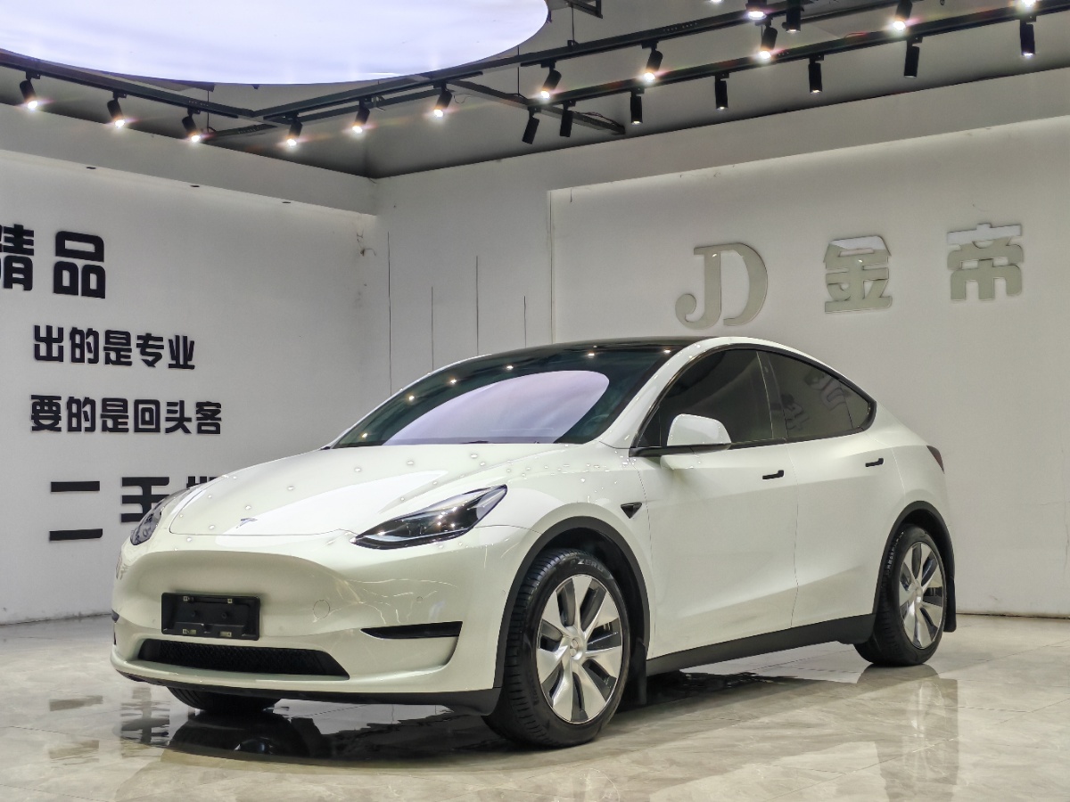 Tesla Model Y 2023 Tesla Model Y 2023 immagine di auto