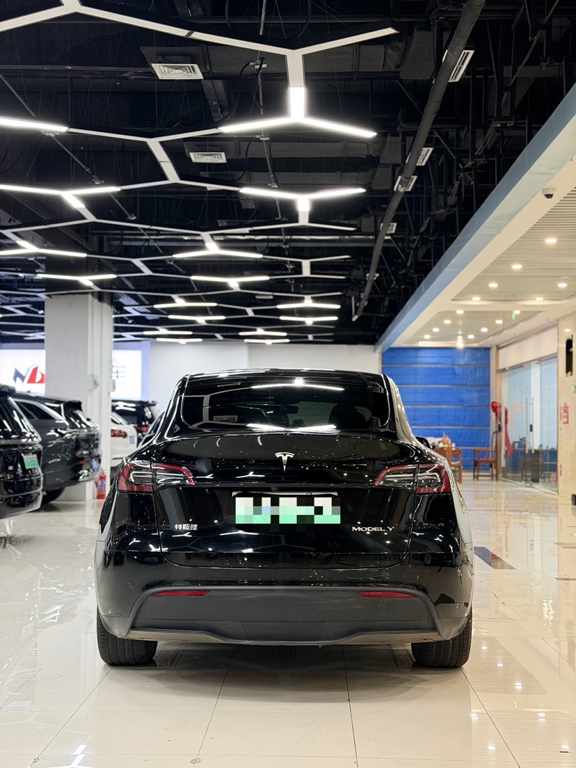 Tesla Model Y 2024 #2 Tesla Model Y 2024 car image #2