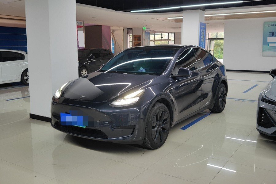 Tesla Model Y 2024 Tesla Model Y 2024 car image