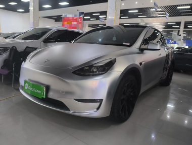 Tesla Model Y 2021 Tesla Model Y 2021 car image