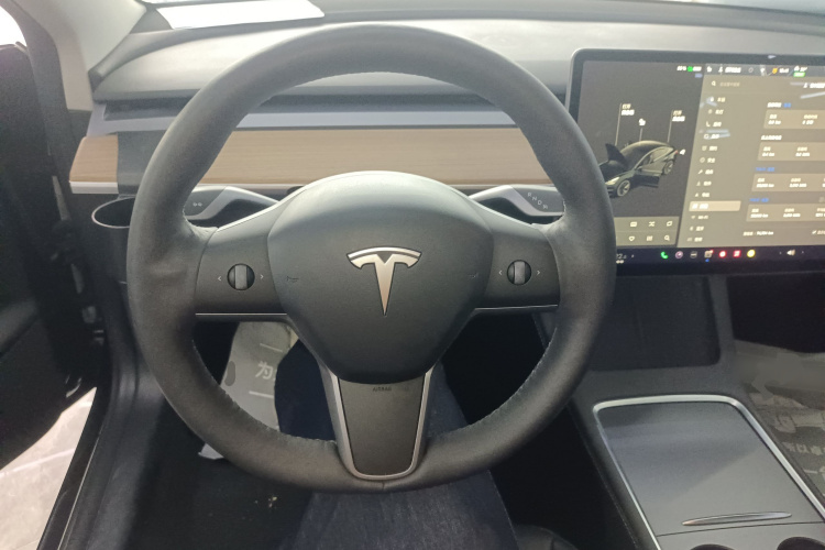 Tesla Model 3 2021 #11 Tesla Model 3 2021 car image #11