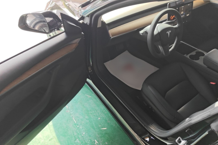 Tesla Model 3 2021 #16 Tesla Model 3 2021 car image #16