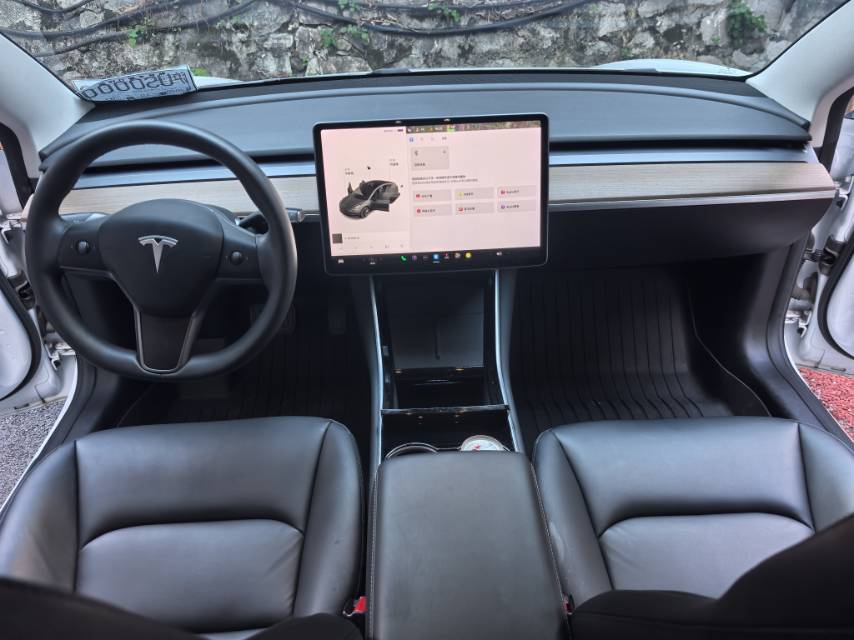 Tesla Model 3 2020 #12 Tesla Model 3 2020 car image #12