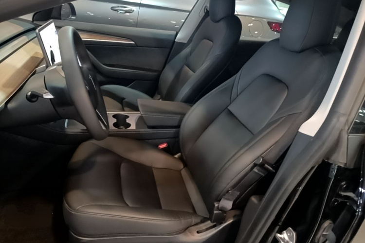 Tesla Model 3 2021 #15 Tesla Model 3 2021 car image #15
