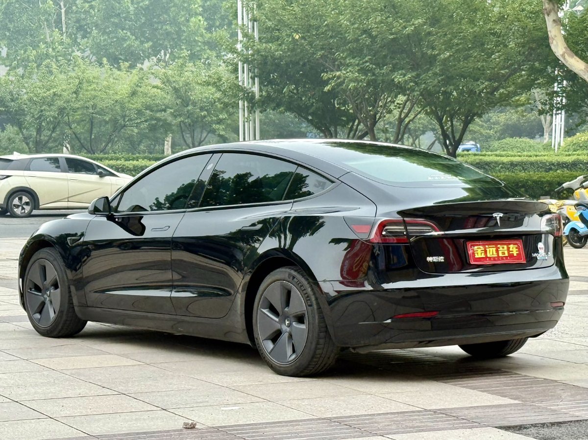 Tesla Model 3 2021 car image #8