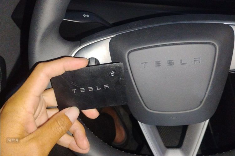 Tesla Model 3 2025 car image #10