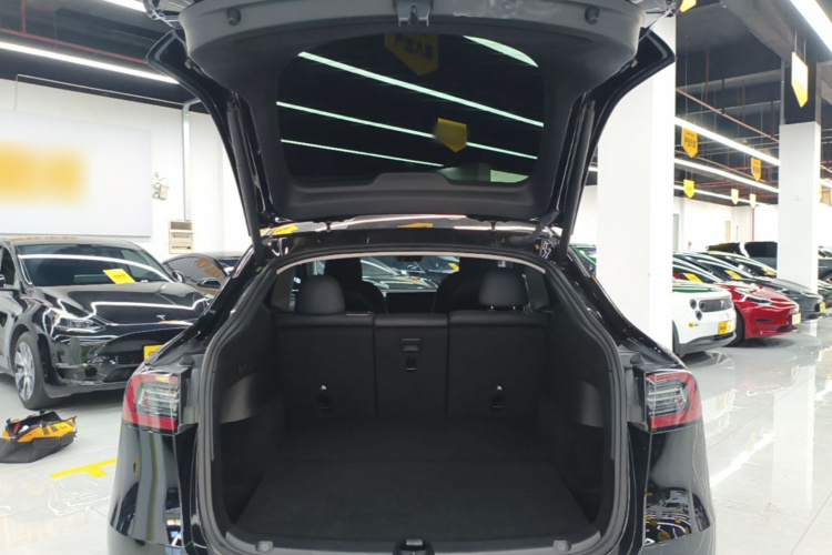 Tesla Model Y 2023 #19 Tesla Model Y 2023 car image #19