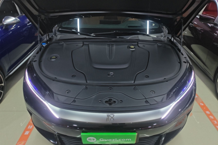 BYD Han 2022 car image #21