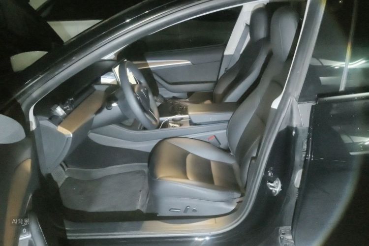 Tesla Model 3 2022 immagine di auto #17