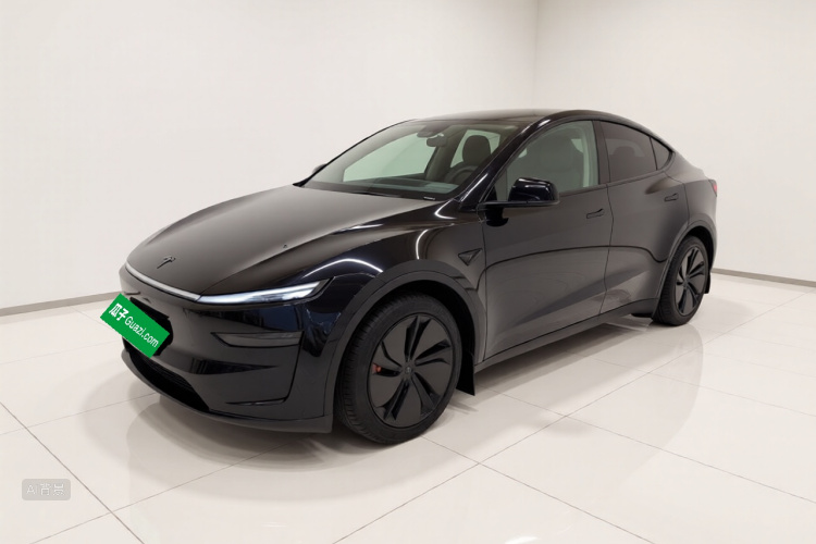 Tesla Model Y 2025 car image #2