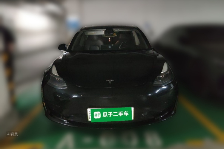 Tesla Model 3 2021 imagem de carro #3
