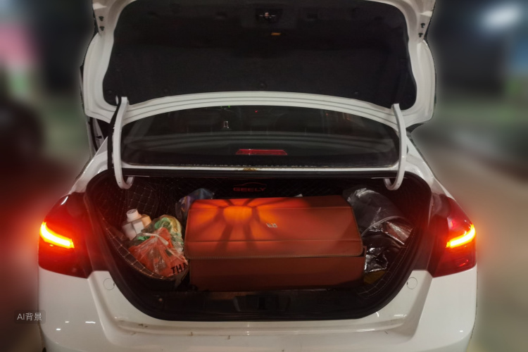 GEELY Emgrand 2019 #21 GEELY Emgrand 2019 изображение автомобиля #21