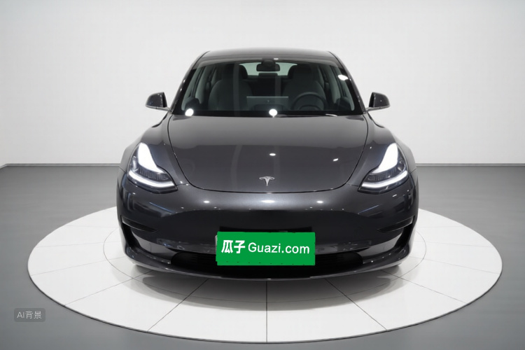 Tesla Model 3 2020 car image #3