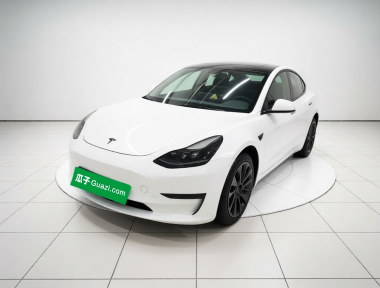 Tesla Model 3 2021 Tesla Model 3 2021 immagine di auto