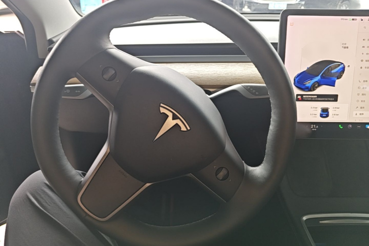 Tesla Model 3 2021 #15 Tesla Model 3 2021 car image #15