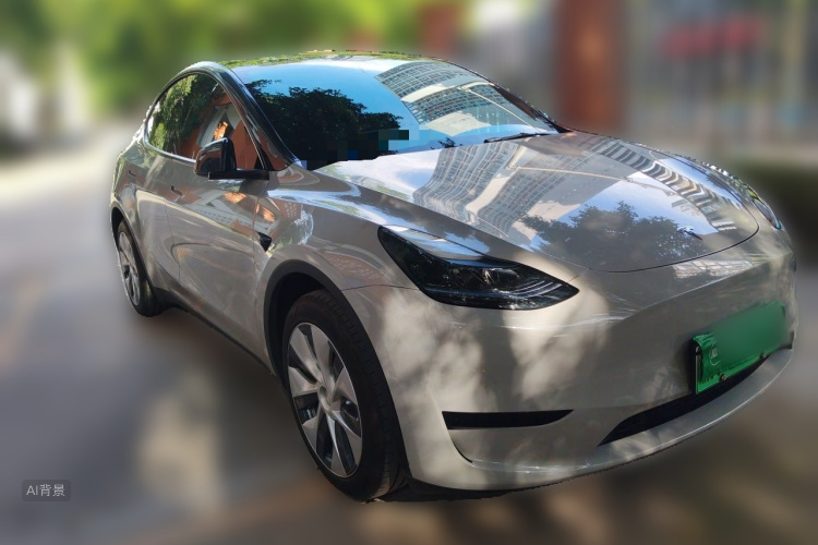 Tesla Model Y 2023 car image #4