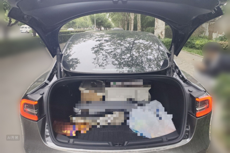 Tesla Model 3 2023 immagine di auto #21