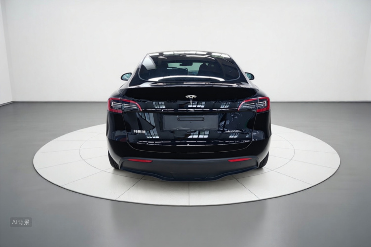 Tesla Model Y 2023 car image #6