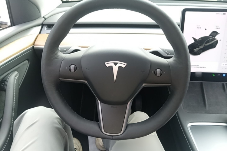 Tesla Model Y 2021 immagine di auto #15
