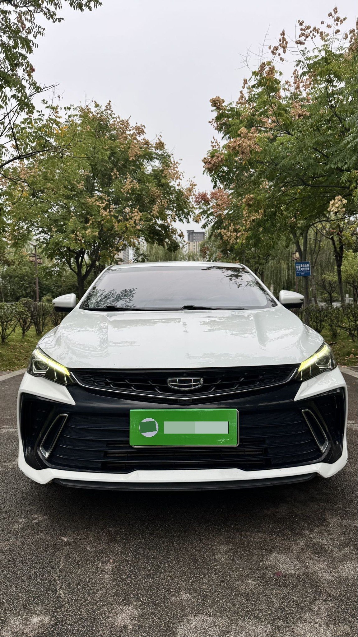 GEELY Binray 2023 immagine di auto #2