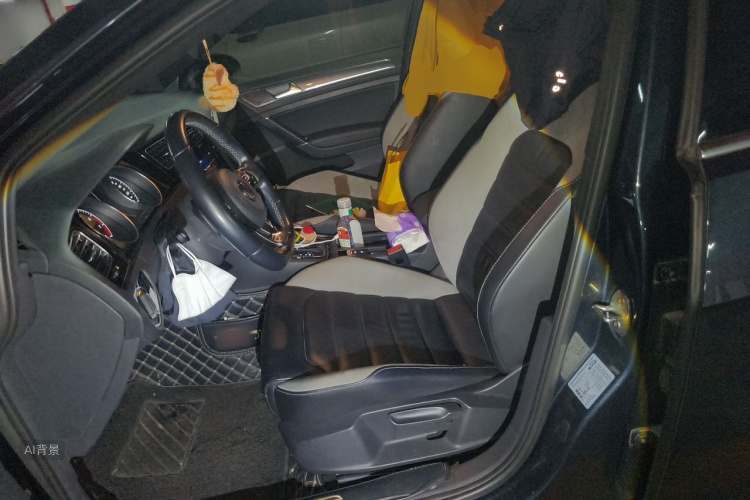 Volkswagen Golf 2019 car image #17