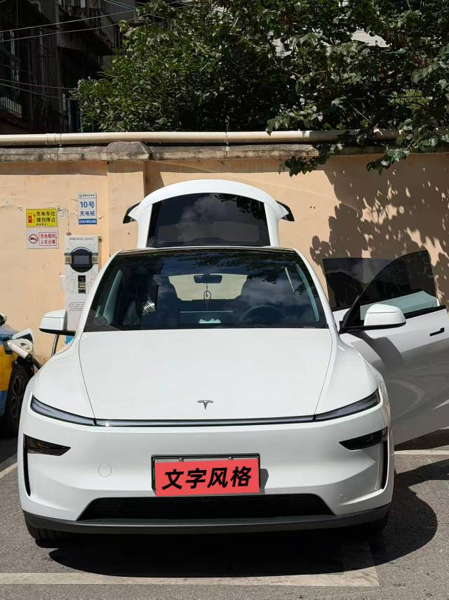 Tesla Model Y 2025 car image 