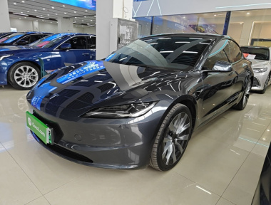 Tesla Model 3 2024 car image 