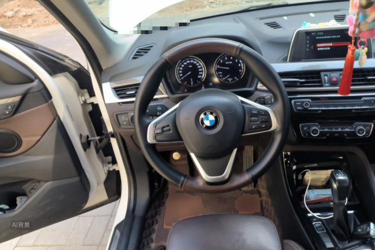 BMW X1 2019 imagen de coche #12