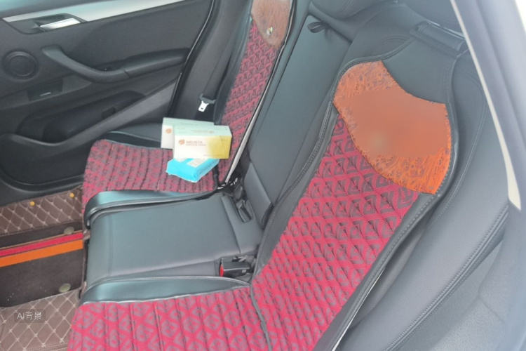 BMW X1 2016 car image #19