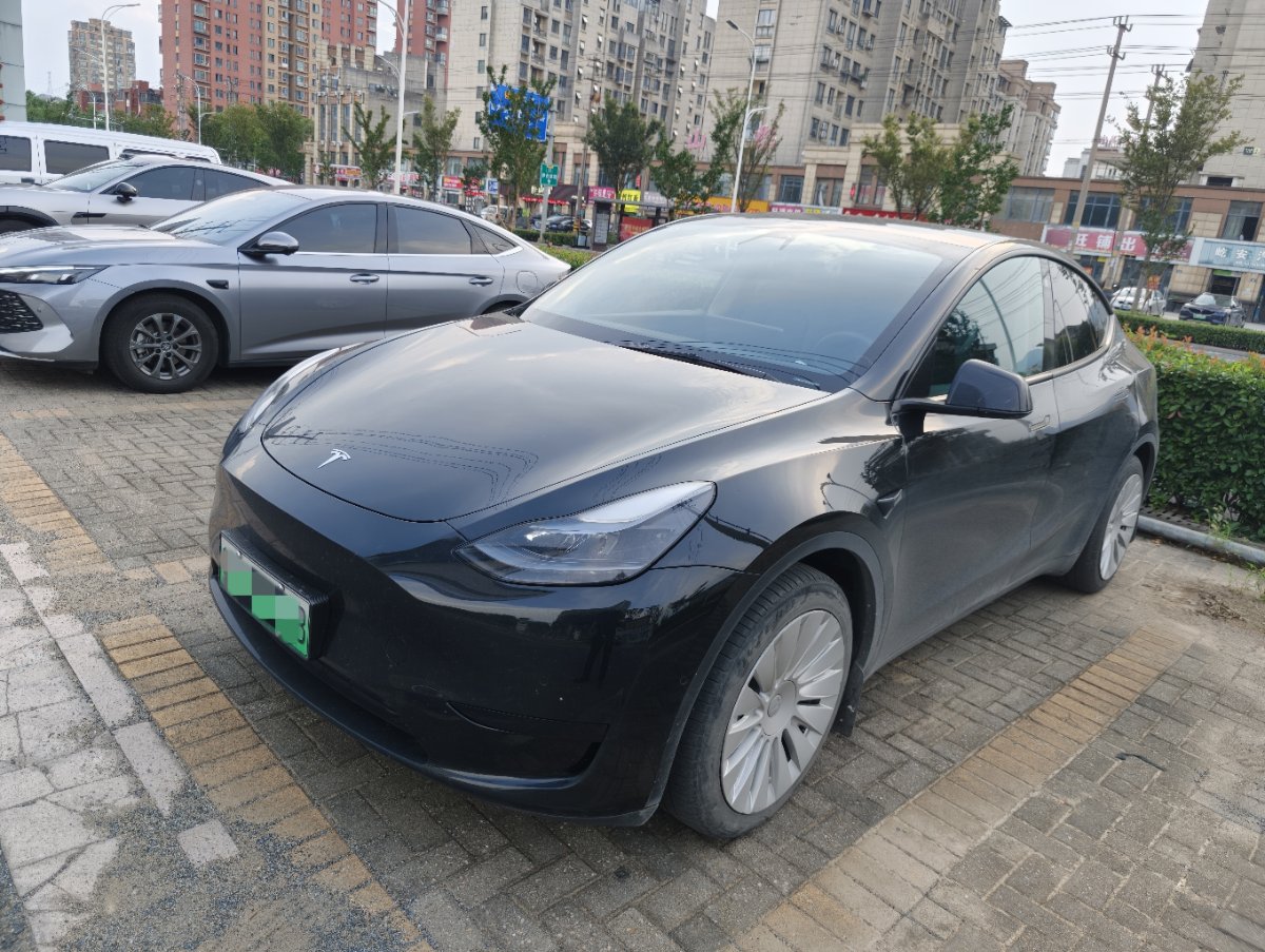 Tesla Model Y 2022 Tesla Model Y 2022 car image