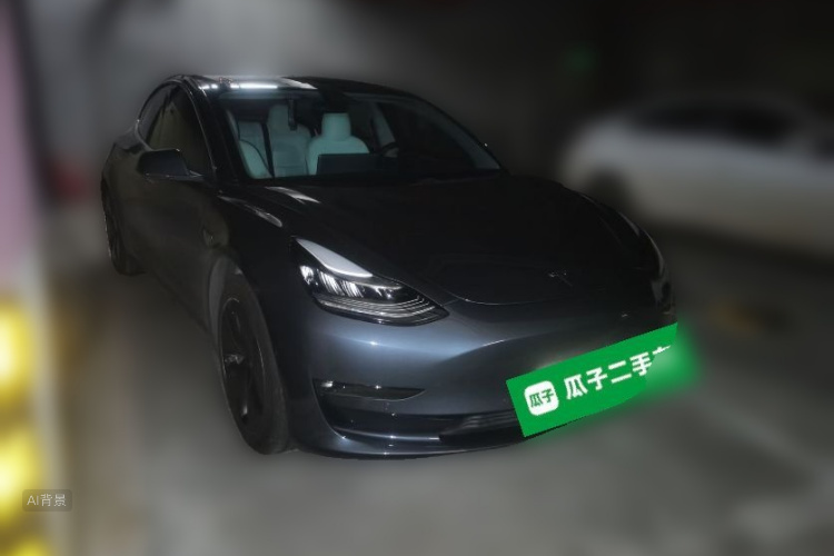 Tesla Model 3 2020 car image #4
