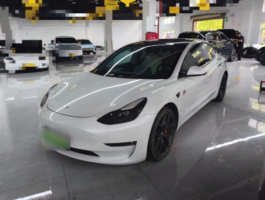 Tesla Model 3 2021 car image 