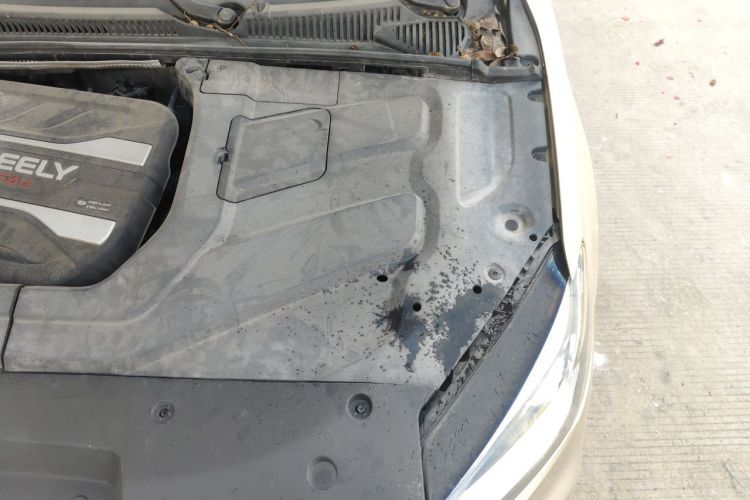 GEELY Binray 2019 image de voiture #23