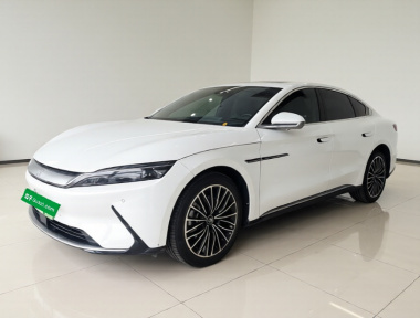 BYD Han 2022 immagine di auto 
