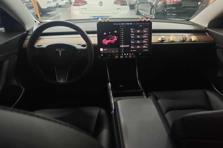 Tesla Model 3 2020 car image #10