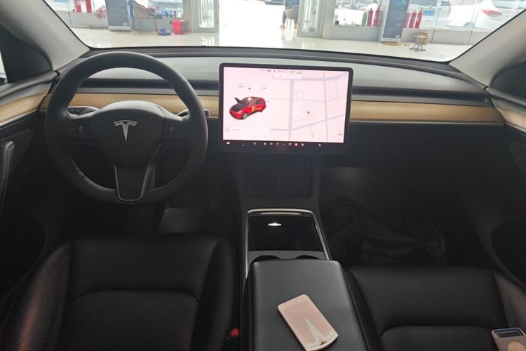 Tesla Model Y 2021 car image #10