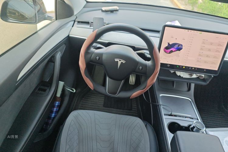 Tesla Model Y 2024 car image #12