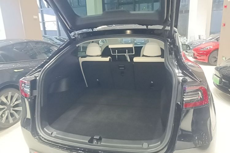 Tesla Model Y 2021 #21 Tesla Model Y 2021 car image #21