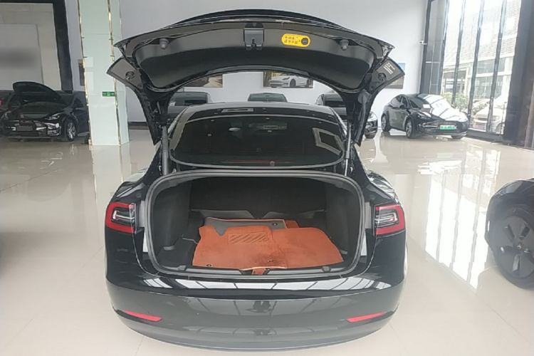 Tesla Model 3 2023 #19 Tesla Model 3 2023 car image #19