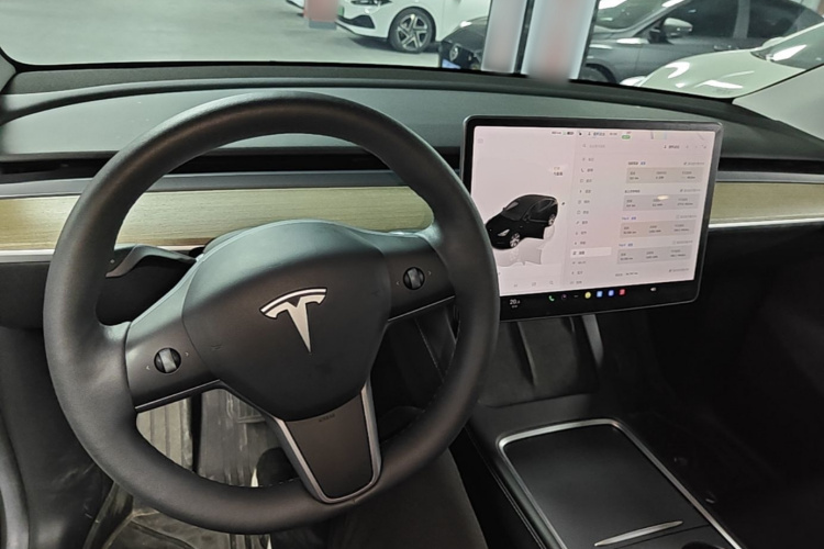 Tesla Model Y 2023 car image #10