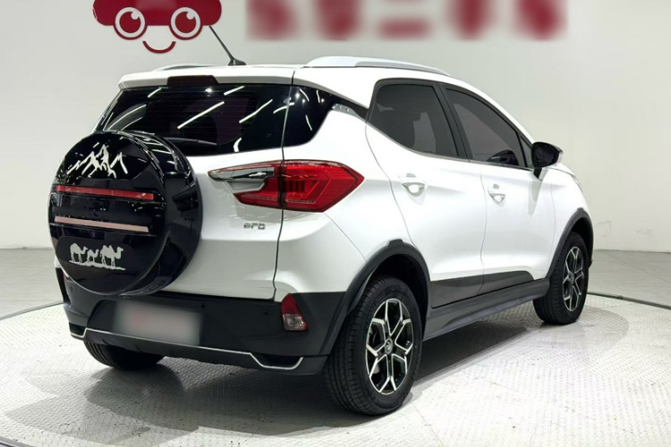 BYD Yuan Pro 2021 car image #10