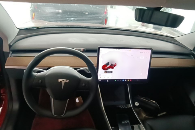 Tesla Model 3 2020 immagine di auto #10