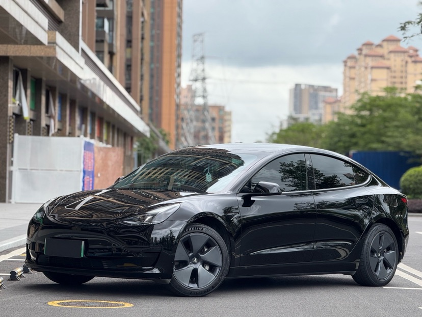 Tesla Model 3 2021 car image 